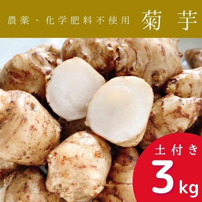 【送料無料】オーガニック　自社農場直送　菊芋　農薬無散布　4kg