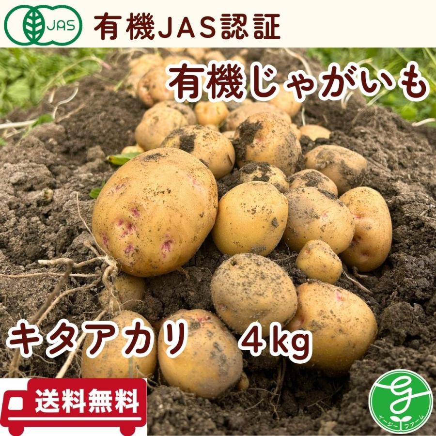 有機じゃがいも　4ｋｇ　キタアカリＳ〜Ｌサイズ混合　有機JAS認証　オーガニック　農場直送　送料無料　大阪府産